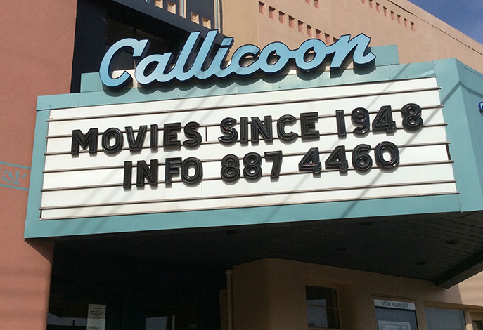 Callicoon Theater